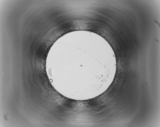 X0000101420305200807071037