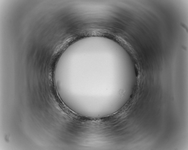 X0000101420306200807071037