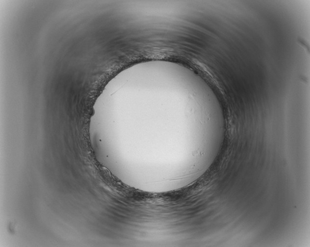 X0000101420307200807071037