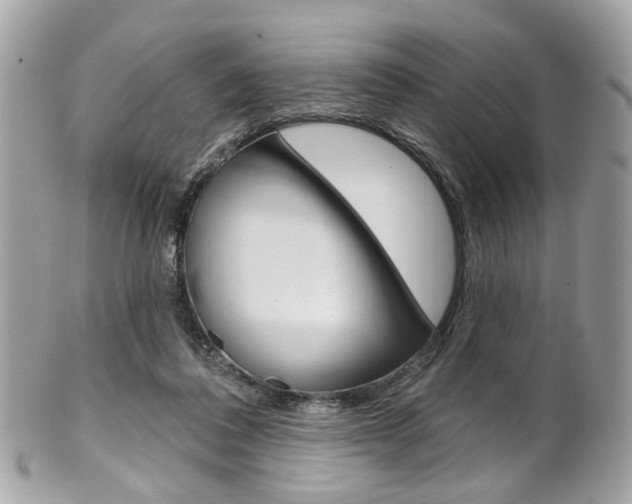 X0000101420308200807071037