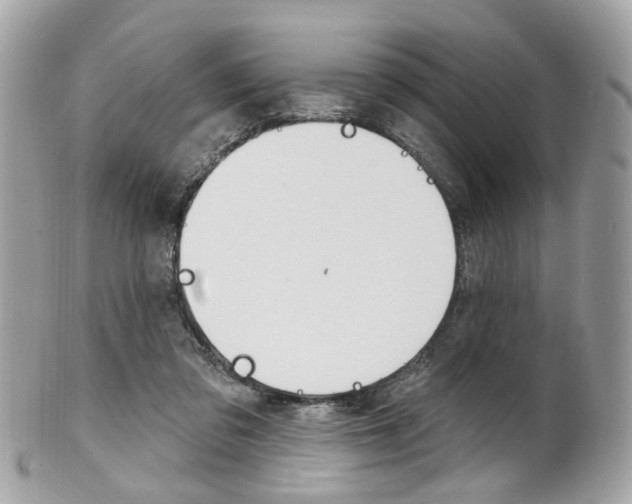 X0000101420309200807071037