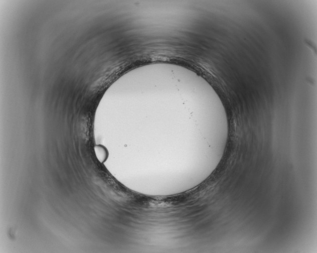 X0000101420311200807071037