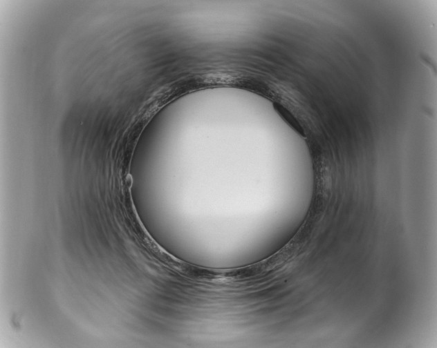 X0000101420312200807071037
