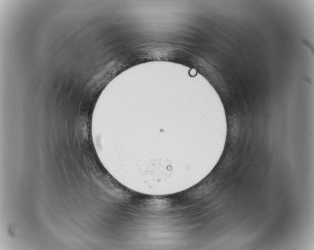 X0000101420313200807071037
