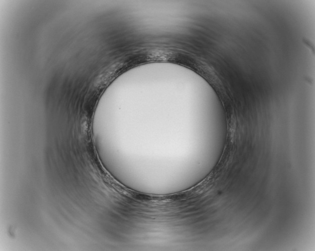 X0000101420314200807071037
