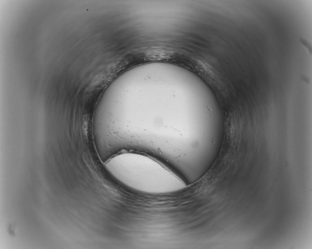 X0000101420315200807071037