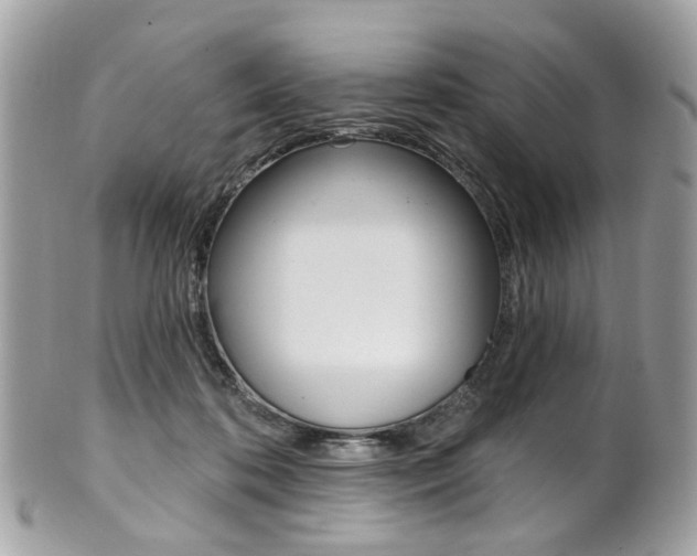 X0000101420316200807071037