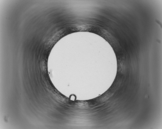 X0000101420317200807071037