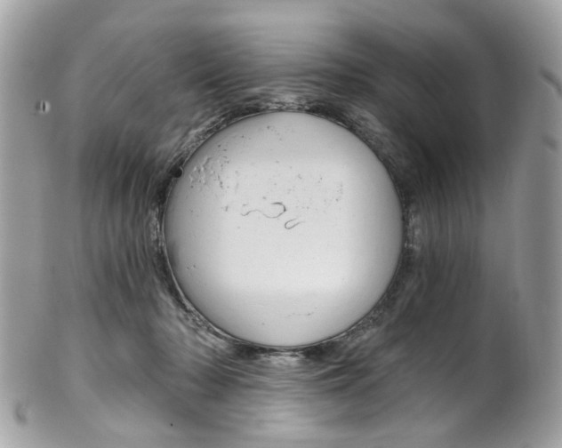 X0000101420318200807071037