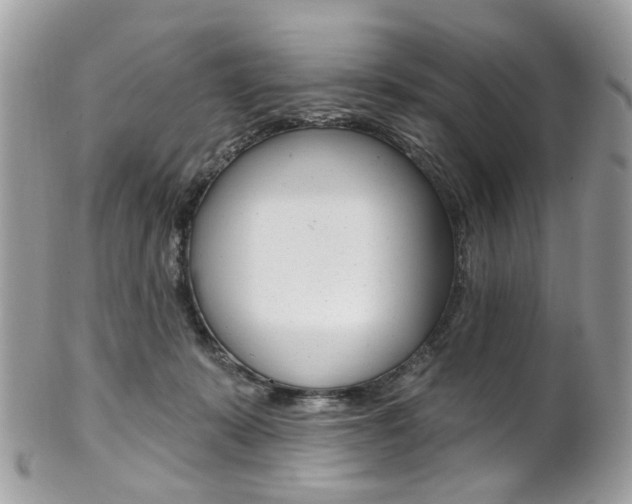 X0000101420319200807071037
