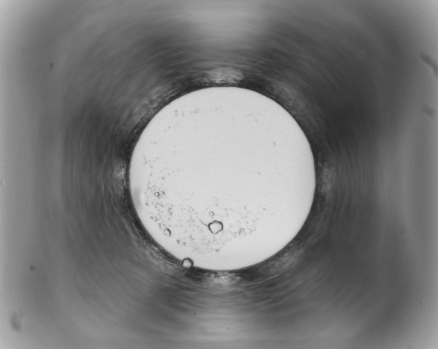 X0000101420321200807071037