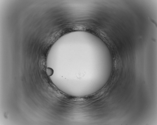X0000101420322200807071037