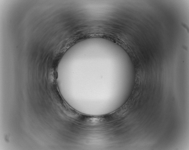 X0000101420323200807071037