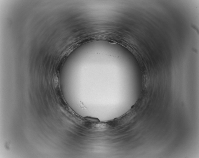 X0000101420324200807071037
