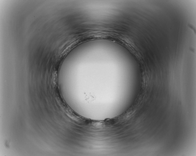 X0000101420325200807071037