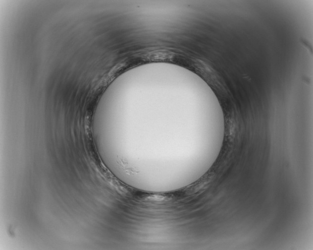 X0000101420326200807071037