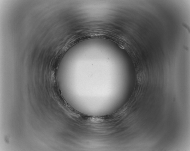 X0000101420327200807071037