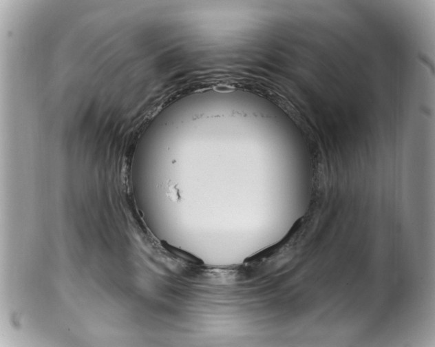 X0000101420328200807071037
