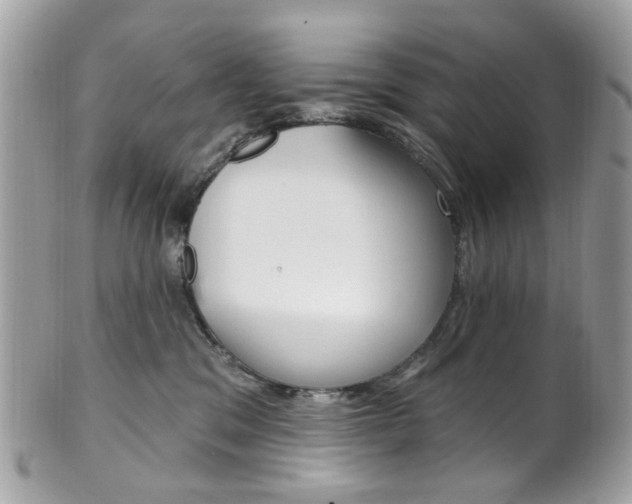 X0000101420329200807071037