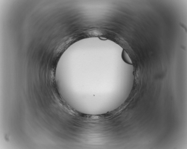 X0000101420330200807071037