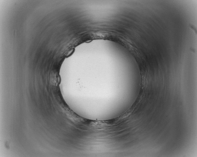 X0000101420331200807071037