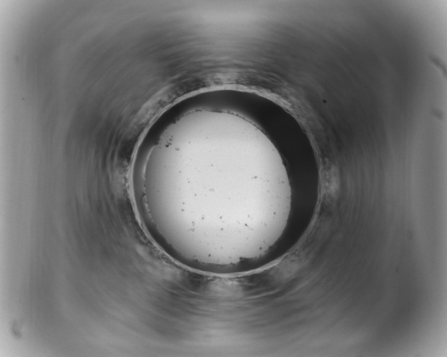 X0000101420332200807071037