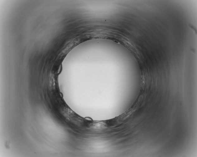 X0000101420333200807071037