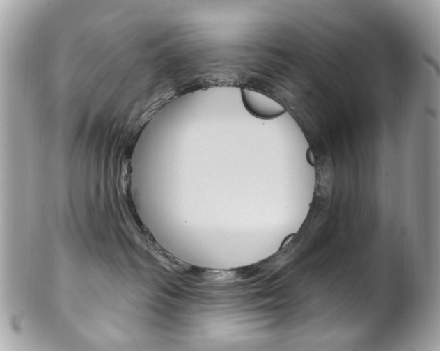 X0000101420334200807071037