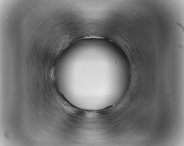 X0000101420336200807071037
