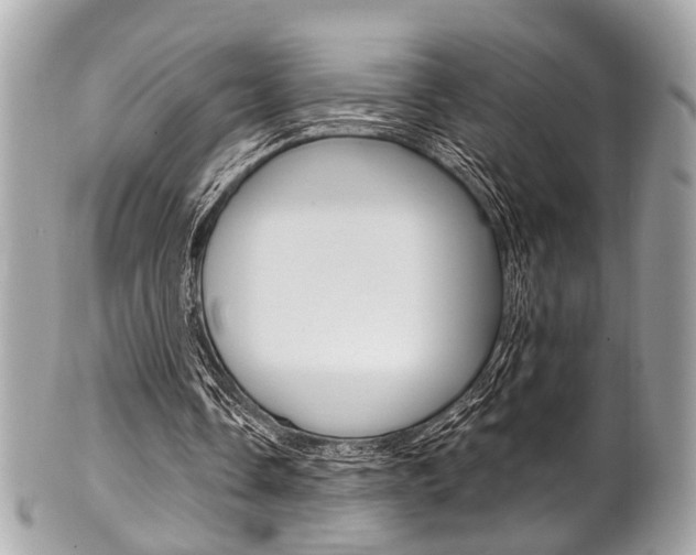 X0000101420338200807071036