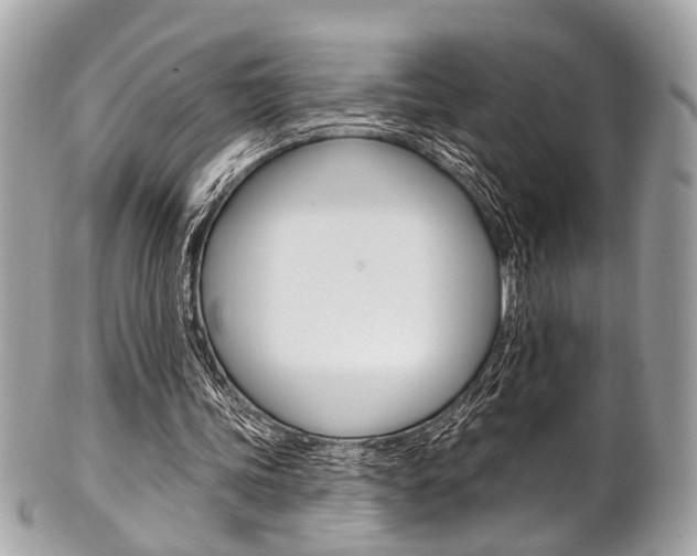 X0000101420339200807071036
