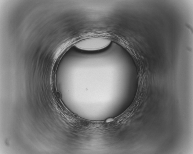 X0000101420340200807071036