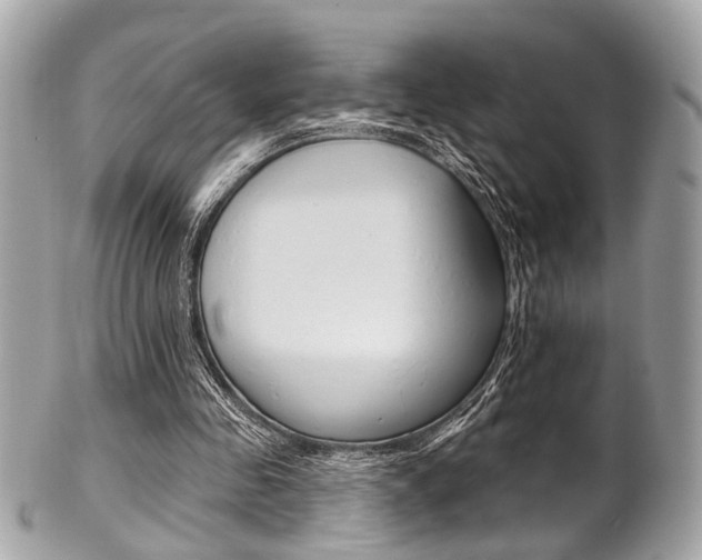 X0000101420341200807071036