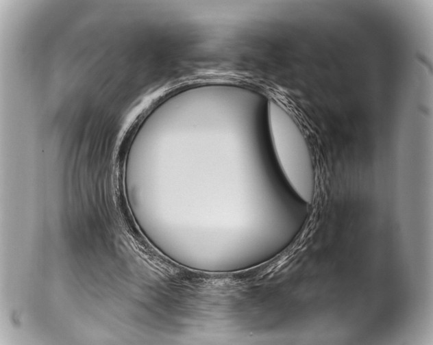 X0000101420342200807071036