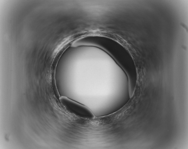 X0000101420344200807071036