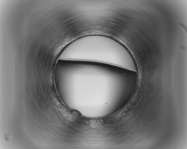 X0000101420345200807071036