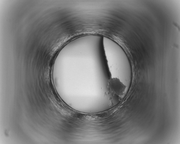 X0000101420346200807071036