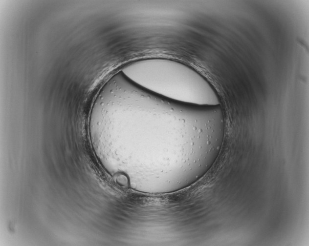 X0000101420347200807071036