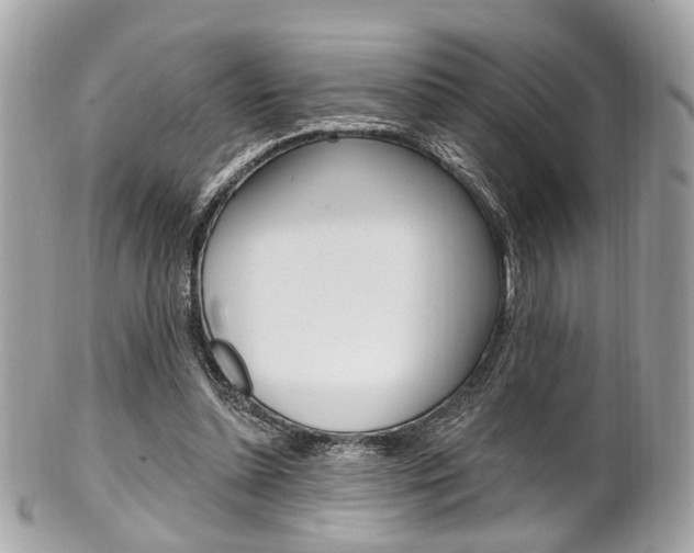X0000101420348200807071036