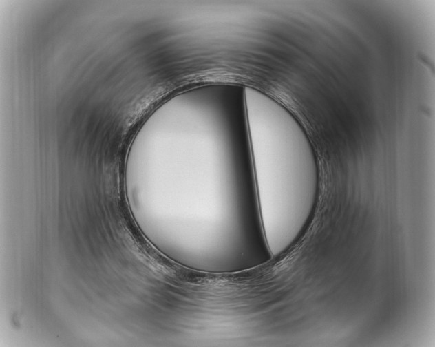 X0000101420349200807071036