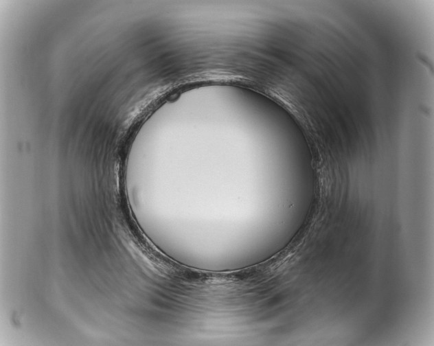 X0000101420350200807071036