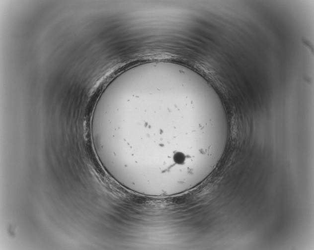 X0000101420351200807071036
