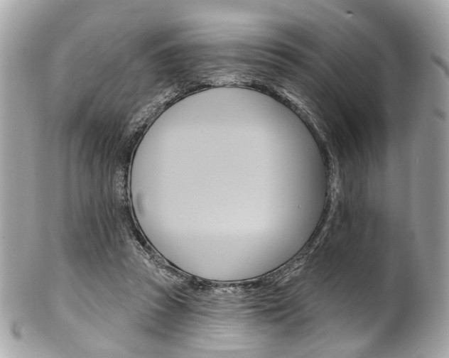 X0000101420353200807071036