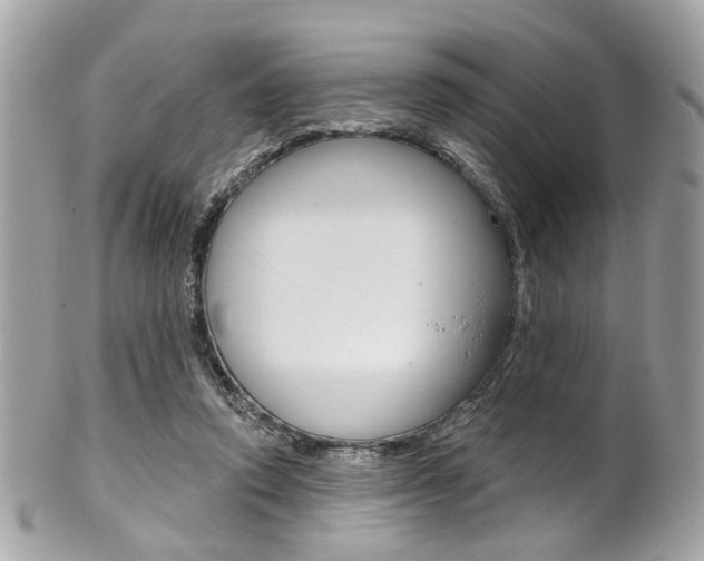 X0000101420354200807071036