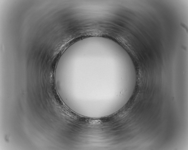 X0000101420355200807071036