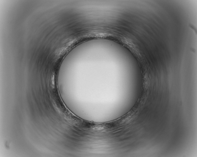X0000101420358200807071036
