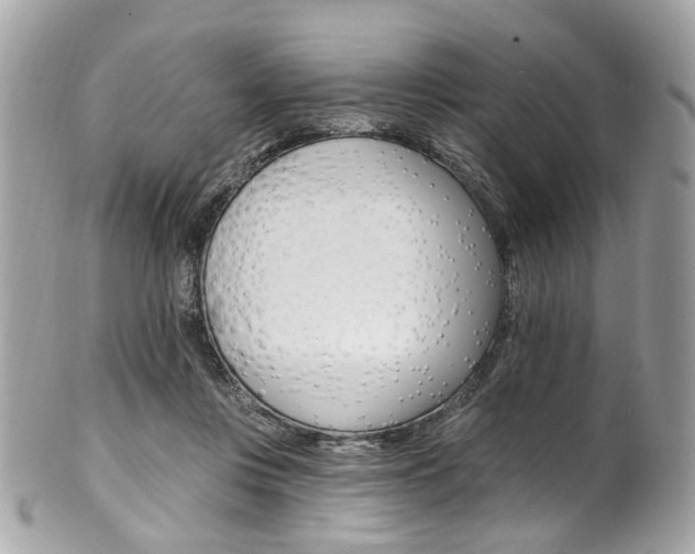 X0000101420359200807071036