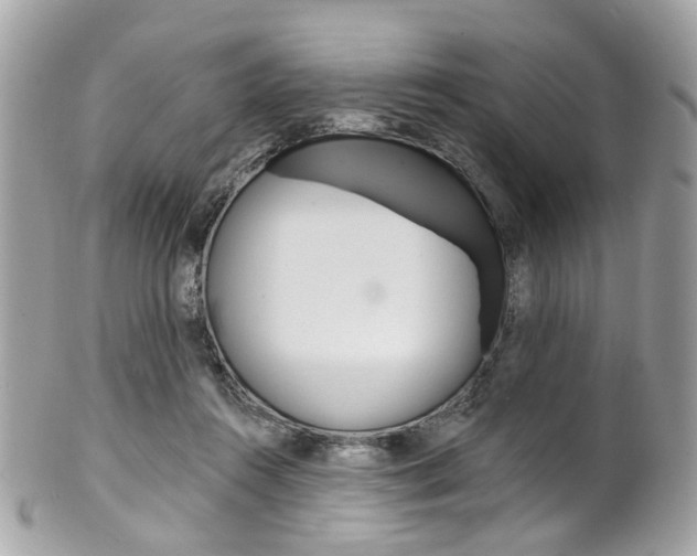 X0000101420360200807071036