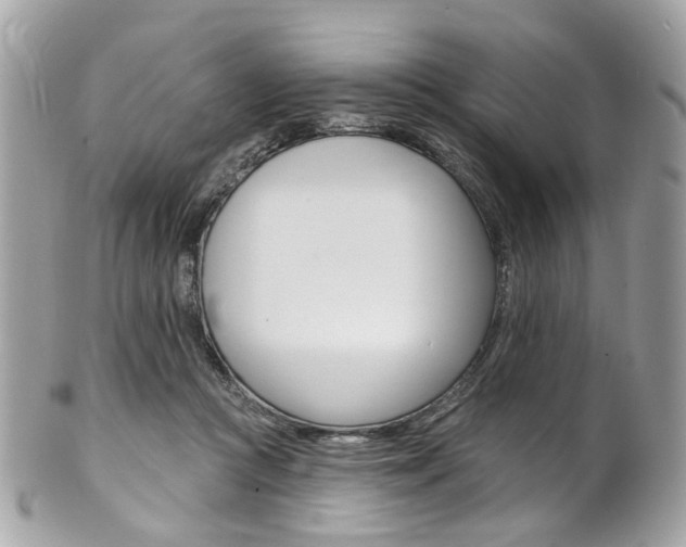 X0000101420361200807071036