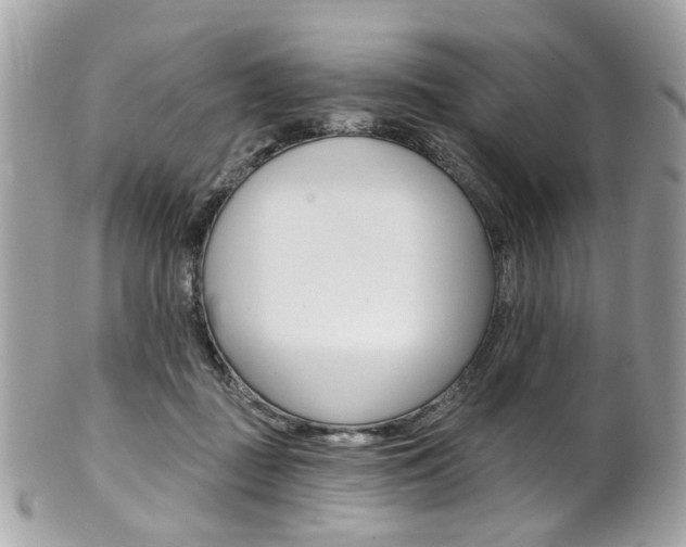 X0000101420363200807071036